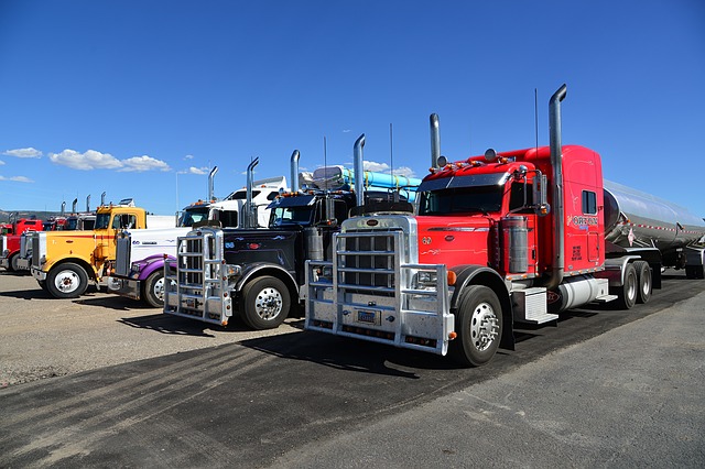Chiropractic care for truck drivers in Scottsdale, AZ